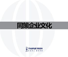 致客戶的承諾——做值得托付的房地產(chǎn)智囊\n副標(biāo)題 某房地產(chǎn)咨詢服務(wù)公司企業(yè)文化重塑行動綱要文件（內(nèi)部審核版）\n\n**第2-3頁 我們的行業(yè)信念**\n? 房地產(chǎn)不僅是鋼筋水泥，更是城市靈魂的載體。“我們尊重每一塊土地的基因。”\n? 唯一不變的是變化與專業(yè)。核心命題 從增長邏輯轉(zhuǎn)向價值邏輯的生存之道。\n\n**第4-5頁 使命定義**\n我們存在的根本原因 “賦能不動產(chǎn)全周期，讓投資回歸價值本質(zhì)。”（注 在供給側(cè)改革與去金融化大背景下，幫助客戶甄別泡沫，專注抗周期真理。）\n\n**第6-8頁 戰(zhàn)略