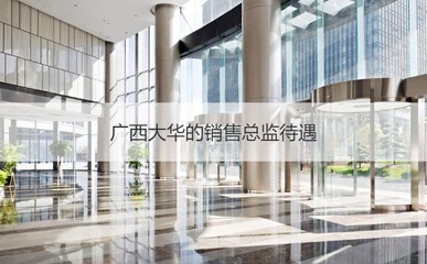 廣西大華銷售總監崗位解析 職責、待遇與行業聚焦